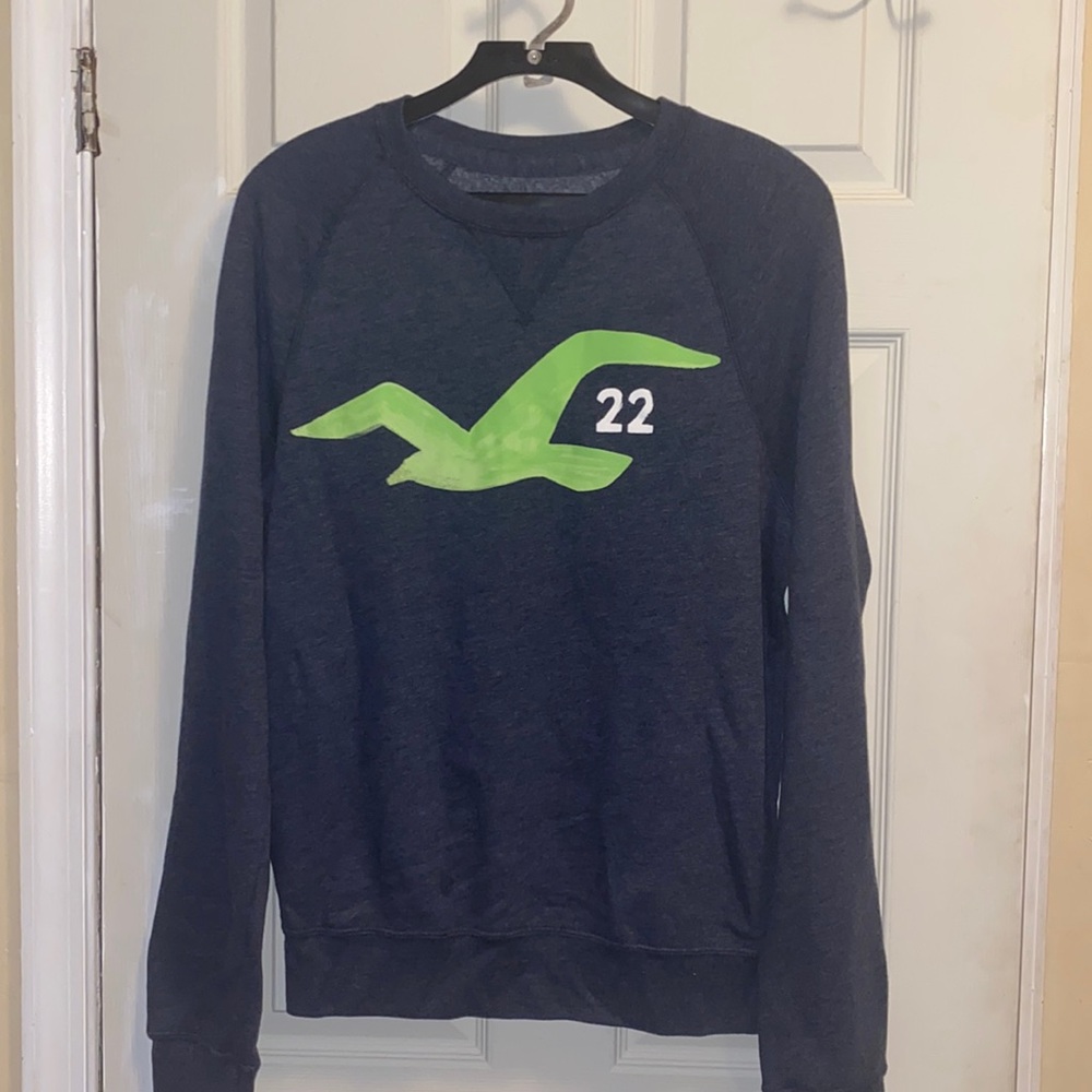 Grey Hollister Sweater